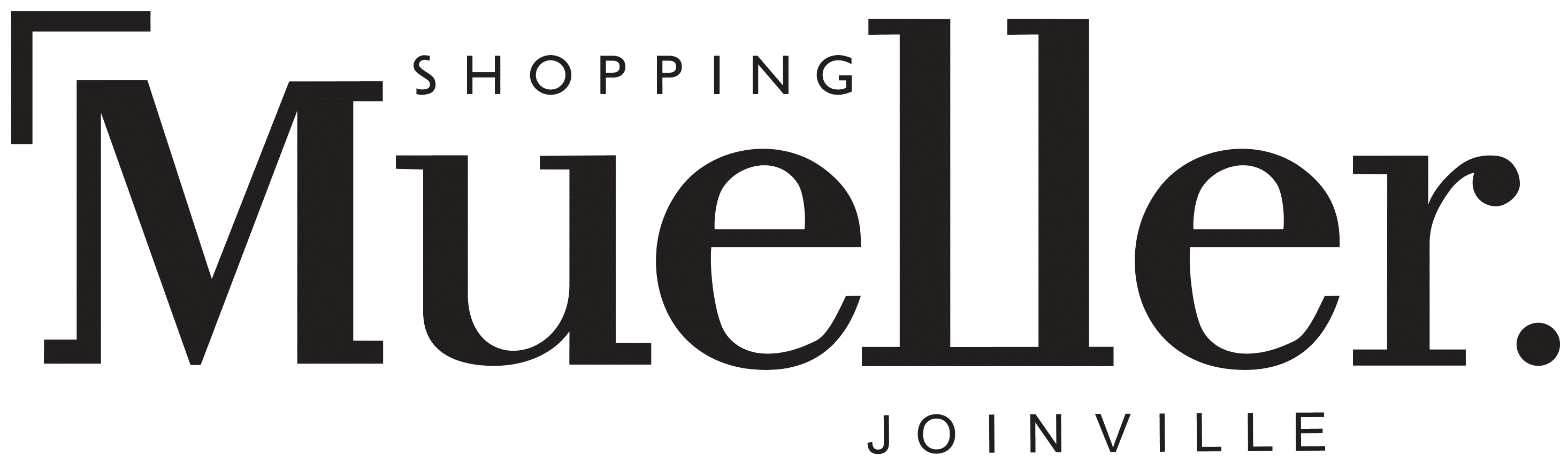 Shopping Mueller